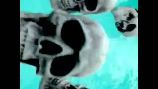 skull dance_Full Length, Kookoonauts, Searching