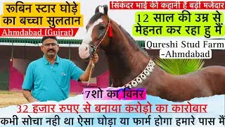 सुनिए सिकंदर भाई की कहानी उनकी जुबानी कैसे यूपी से आकर गुजरात मैं बना दिया घोड़ा का आलीशान फार्म !