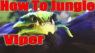 DoTa 2 How To Jungle Viper Patch 7.31 IRG 7500 gold 15 min