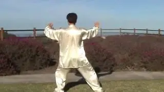 Sun Style   Traditional Long Form   Back View