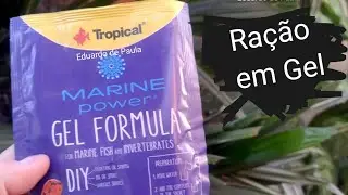 Ra&ccedil;&atilde;o Marine power gel formula