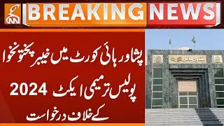 KPK Police Amendment Act 2024 Challenged in Peshawar High Court | Breaking News | GNN