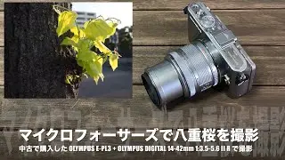 No.80：OLYMPUS PEN Lite E-PL3 レンズキットで八重桜を撮影〜レンズ　OLYMPUS M.Zuiko DIGITAL 14-42mm 1:3.5-5.6 II R