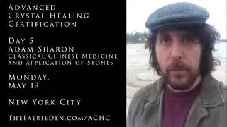 Advanced Crystal Healing Certification  &bull; Day 5 Adam Sharon  &bull; Classical Chinese Stone Medicine
