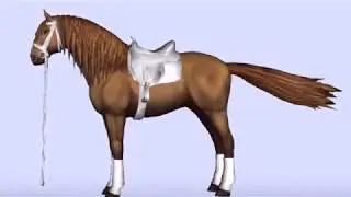 Star Stable all Lusitano textures
