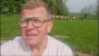 Nick's Introduction to Fosse Manx Hogget - May 2024