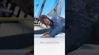 humans can do anything