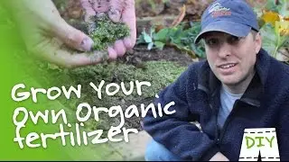 DIY Organic Garden Fertilizer | GreenShortz DIY