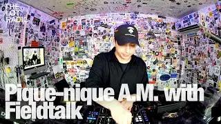 Pique-nique A.M with Fieldtalk @TheLotRadio 12-18-2023