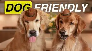 Top 5 Dog Adventures in Campbell River (Must Do's)