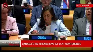 Canada's FM: Attacks on civilians, settlement growth make peace more distant in Palestine