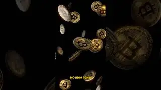 M&ocirc; h&igrave;nh Ponzi l&agrave; g&igrave;?  #taichinh #dautu #shorts #crypto #bitcoin