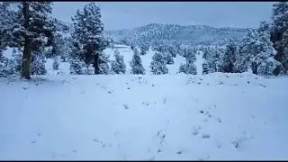 Beautifull scenes of snow fall in Ziarat /Quetta