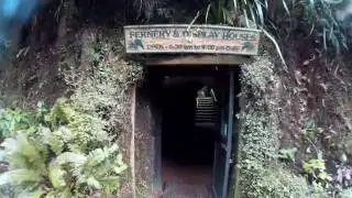 Fernery, Pukekura Park, New Plymouth