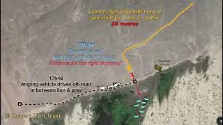 Illustration of a tourist vehicle spoiling the opportunity for lioness Xpl-108 to capture a gemsbok