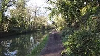 Canal walk, Tring, England, UK (4K)