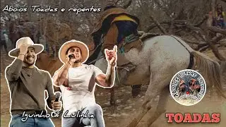 Iguinho & Lulinha - Toada Pra Toda Vaqueirama Tomar uma