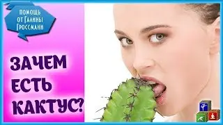 🌵 Что за кактус для снижения веса??? Правда о Худия Гордони