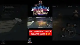 Bleach Soul Resonance