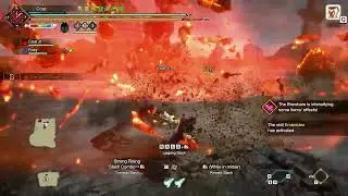The Insect Glaive Way