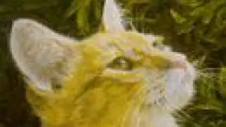 Art for Critters - A4C Video - Help Homeless Animals
