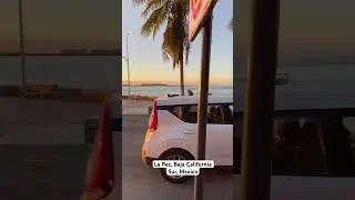 La Paz, Baja California Sur. BCS is just a different vibe 😍