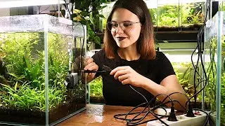 LE LOW-TECH C'EST TERMINÉ ! 😱 200€ dans de nouvelles installations !🐟🌿