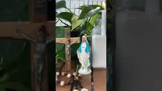 Pacific Region: Angelus (6 a.m.)