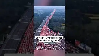 Вот почему образуются пробки на дороге #амитеш #факты
