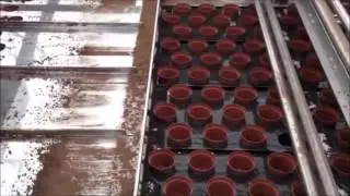 Eigen automatisering bij Sluiter