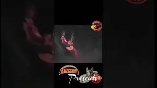 Ultra-Rare 1979 Randy Rhoads Quiet Riot VHS Footage 🎸✨