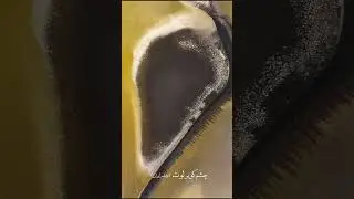 شگفتی&zwnj;های کویر لوت، قلب داغ ایرانا. Lut Desert Wonders, Iran&rsquo;s Fiery Heart