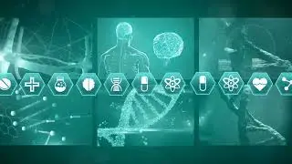 The Dance of Life Bioelectricity, Entropy and 4D Medicine