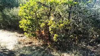Hiking Upper Table Rock Mesa