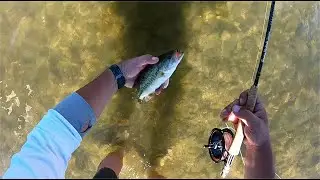 FLY FISHING. Pesca de Black Bass a streamer&acute;22 - 1 + Descripci&oacute;n del streamer utilizado.