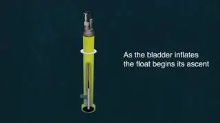 Biogeochemcial Profiling Float