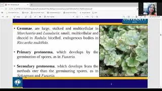 Bryophyta Introduction