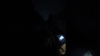 Here&rsquo;s a old video of my dog jazzy and my cat star from August 18 2025 of last year 🐶🐱