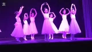 Noche de danzas 2023