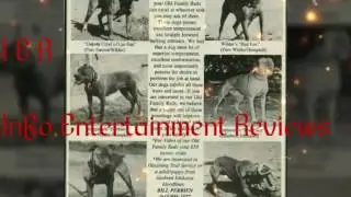 True best pitbull bloodline Red Family Hemphill