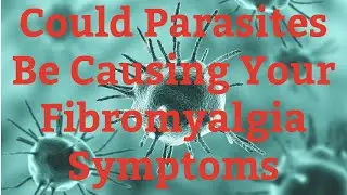 COULD PARASITES BE THE CULPRIT TO YOUR FIBROMYALGIA SYMPTOMS | MY SYMPTOMS & HOW I KICKED THEM OUT!