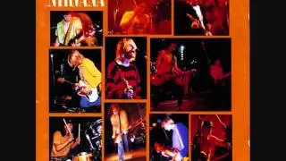 Nirvana Heart Shaped Box Muddy Banks