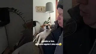 pokalbis su Toriu apie ,katina ir pietų metą#&scaron;uo namie#namai #augintinis