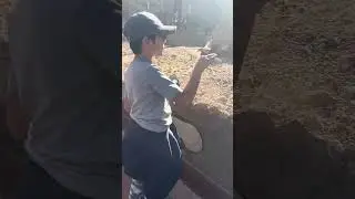 Phoenix Zoo 29/12/25