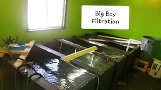 Doyles Monster Fish - DIY Rubbermaid Brute Trash Can Aquarium/Pond Filter