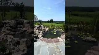 Raw: Updated Look at GORGEOUS Koi Pond!