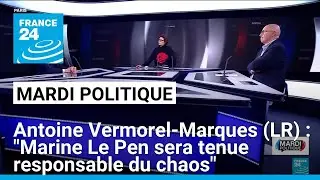 Antoine Vermorel-Marques (LR) : 