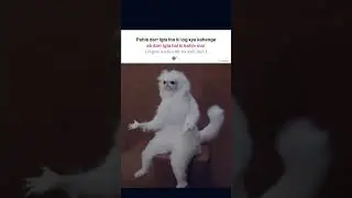 ab Kaya bolu #dog #memes #shorts
