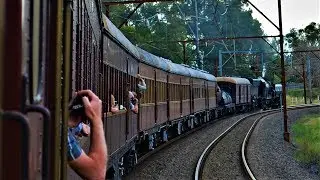 Through the Blue Mountains with Garratt 6029