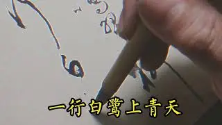 兩個黃麗鳴翠柳，一行白鷺上青天。#書法 #書法作品欣賞 #毛筆字